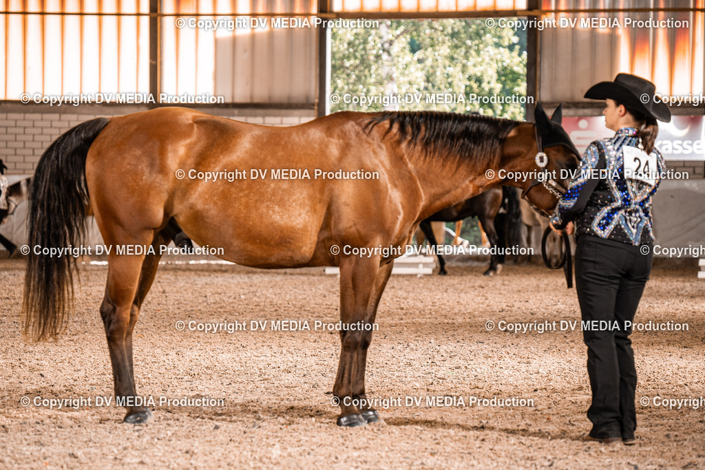 ZH100013 | dv-media-shop - Realisiert mit Pictrs.com