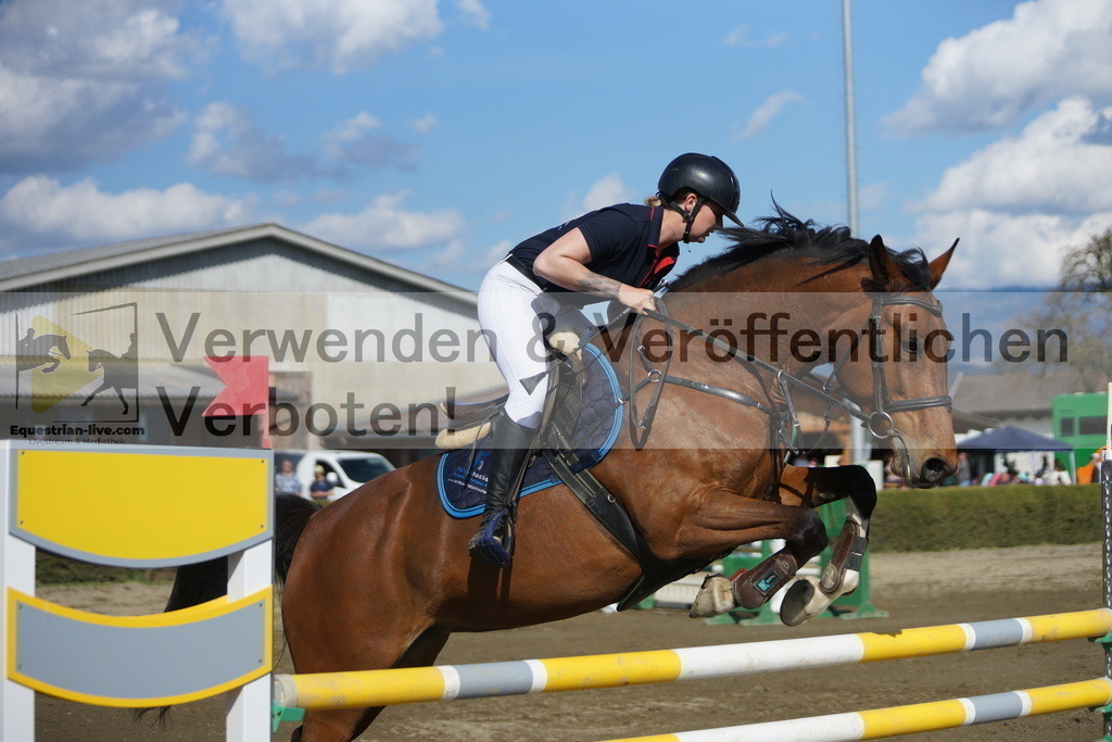 DSC03335 | equestrian-live-com