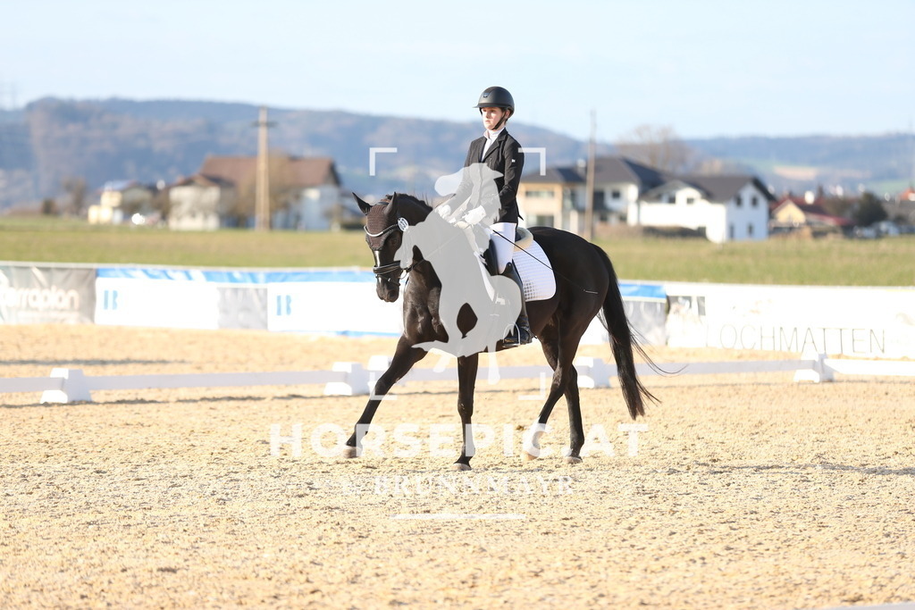 AS8V2189 | Willkommen bei Brunnmayr - Design & Fotografie – Ihrem Spezialisten für Reitturniere und Pferdeveranstaltungen in Oberösterreich, Salzburg und Bayern! Seit über 17 Jahren sind wir leidenschaftlich dabei.