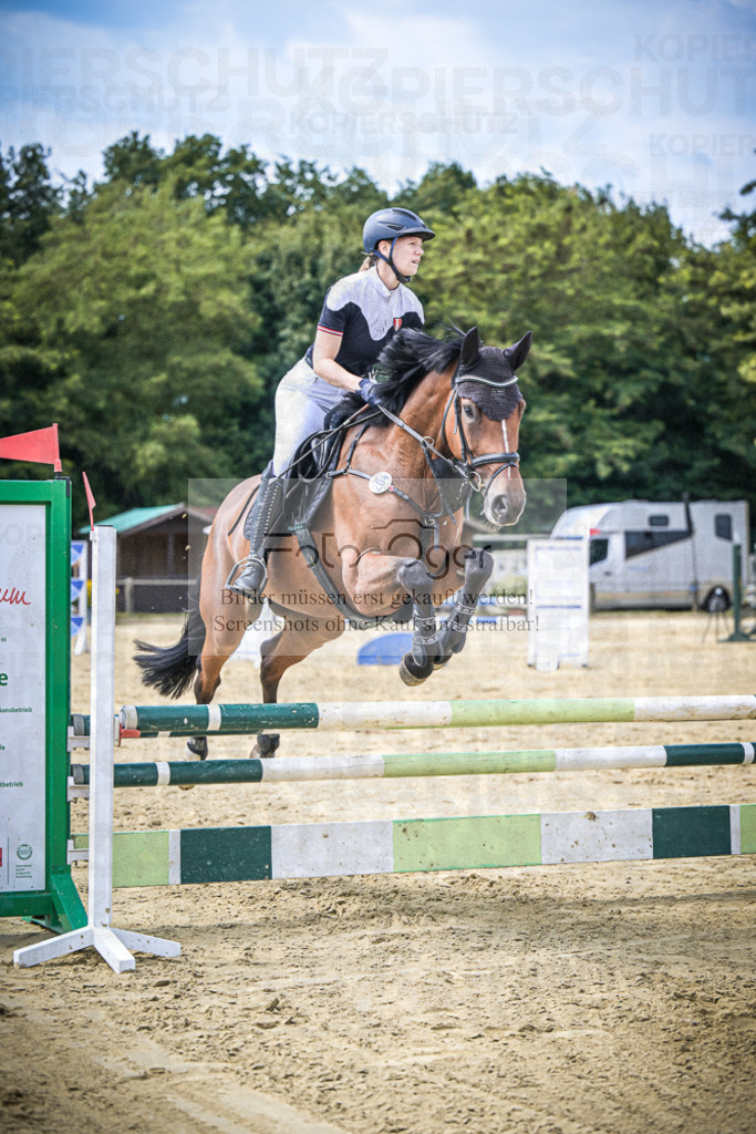 DOS_2717 | Entdecke hochwertige Reitturnierfotos von Foto Oger. Professionell, emotional und authentisch – jetzt Lieblingsmomente im Shop bestellen.Deutschlandweite Turnierfotografie. - Realisiert mit Pictrs.com