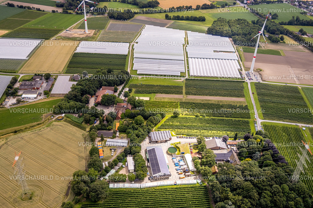 Bottrop240701732Kirchhellen | Luftbild,Schmücker Hof Landwirtschaftsbetrieb,  Plantagenanbau, Hof Umberg und Gewächshäuser, Kirchhellen-Nord-Ost, Bottrop, Ruhrgebiet, Nordrhein-Westfalen, Deutschland