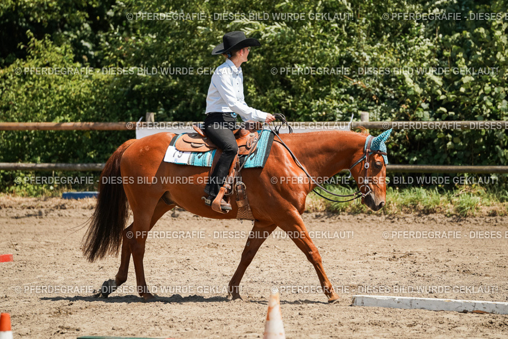 DSC07374 | Pferdegrafie