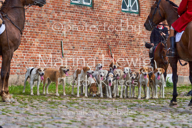 _MCH8537_Marina Hewig | Fotografie, FotoArt, PferdesportArt, Pferdesportfotografie, Landschaftsfotografie, Reisefotografie, Reise, Pferde - Realisiert mit Pictrs.com