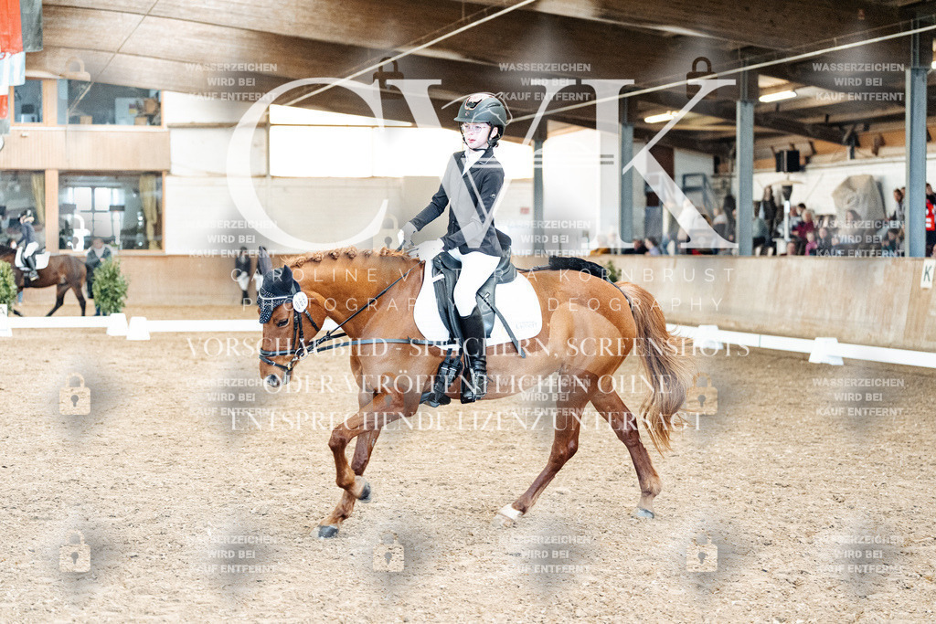 CK900230 | Turnierfotografie Pferdefotografie Trier Rheinland-Pfalz Pferdesport Reitsport Tierfotografie Sportfotografie Pferdevideo Pferdevideografie Equestrianvideography equestrianphotography  - Realized with Pictrs.com