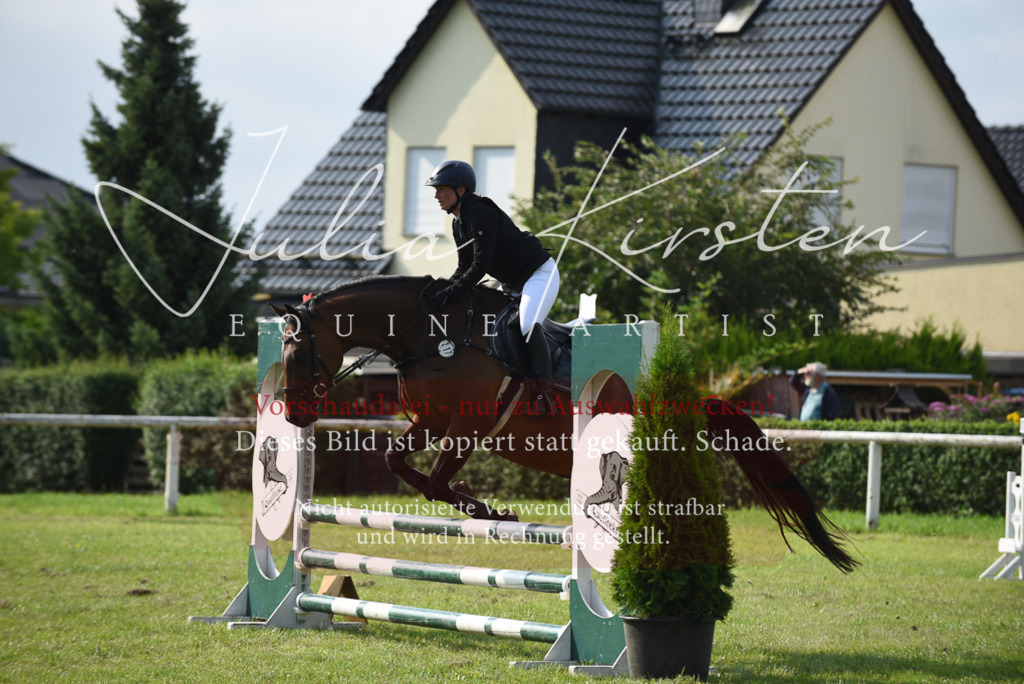 DSC_8746 | Pferde- und Turnierfotografie in Westsachsen. Pferdeportraits, Auftragszeichnungen und intuitive Kunst.