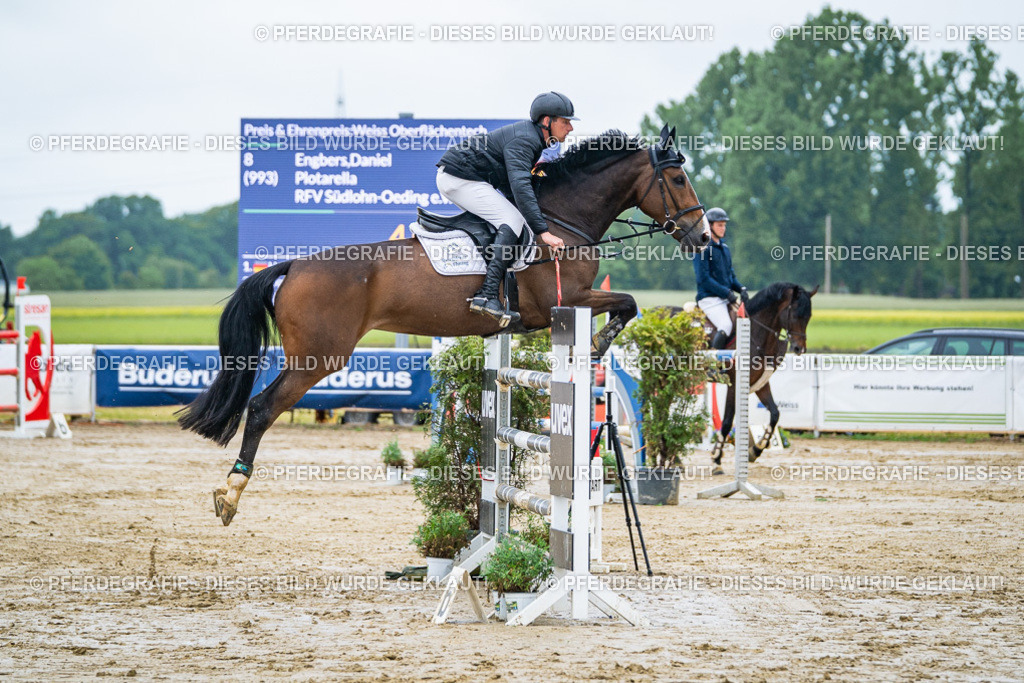 DSC03634 | Pferdegrafie