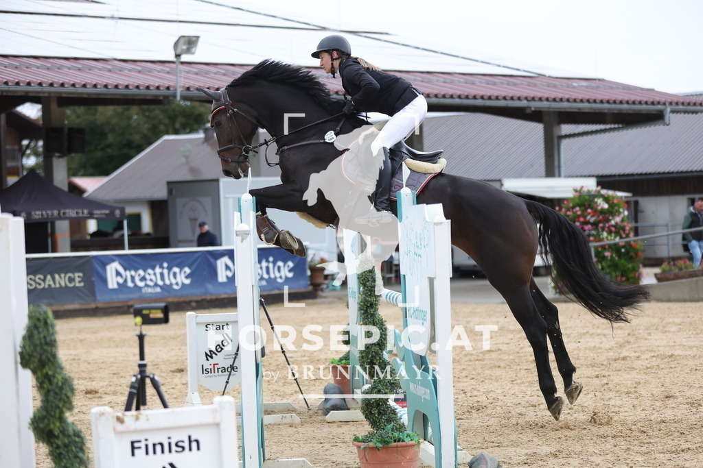 0P6A7539 | Willkommen bei Brunnmayr - Design & Fotografie – Ihrem Spezialisten für Reitturniere und Pferdeveranstaltungen in Oberösterreich, Salzburg und Bayern! Seit über 17 Jahren sind wir leidenschaftlich dabei.