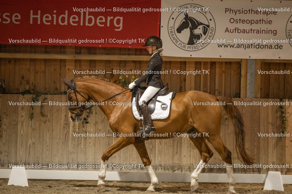 _D5A0271 | Emotionale Pferde- & People-Fotografie rund um Heidelberg, Leimen & Umgebung. Natürliche Fotos von Pferd, Mensch & Familie. Jetzt Termin sichern!