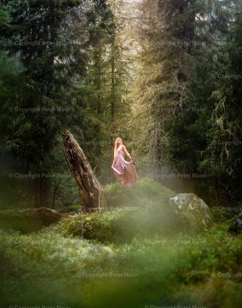 Debanttal_Erlebnisraum_Wald_23_Peter_Maier-420 | piet_flosse