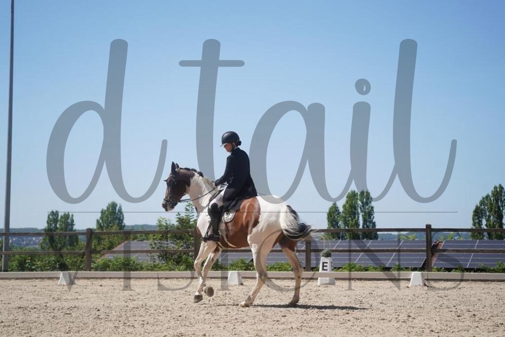 tgbhsonntag (1239) | d.tail Visions - Shop - Realisiert mit Pictrs.com