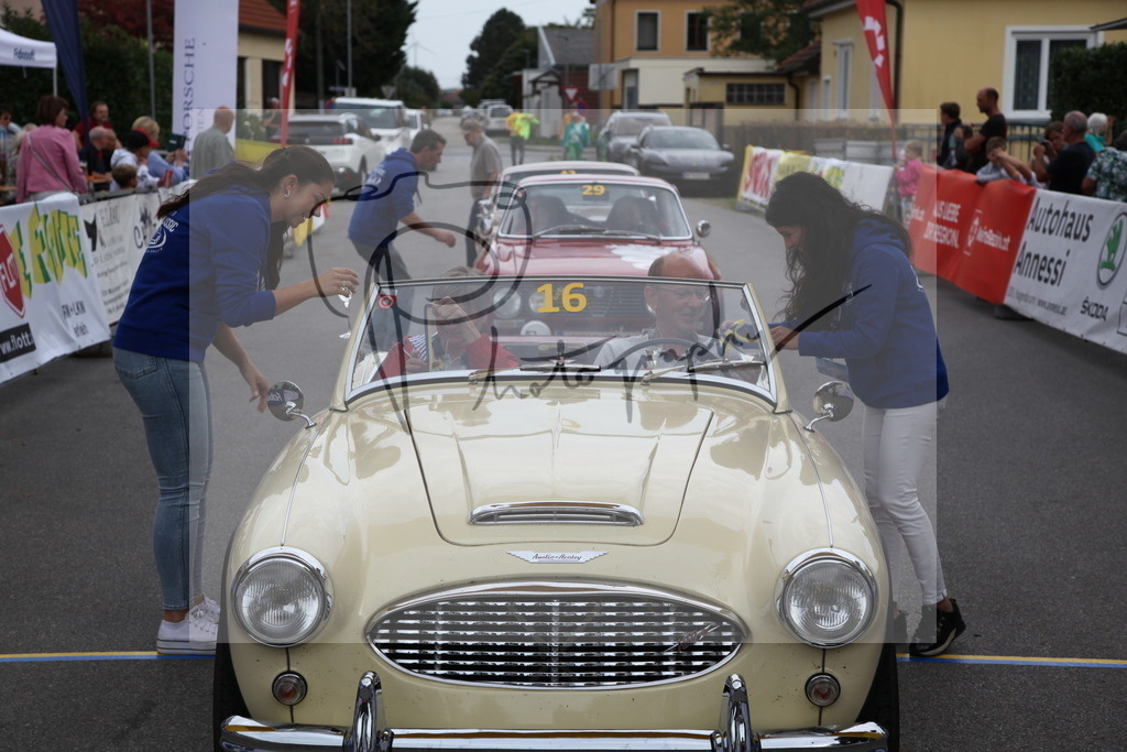 IMG_6010 | Gerhard Witt