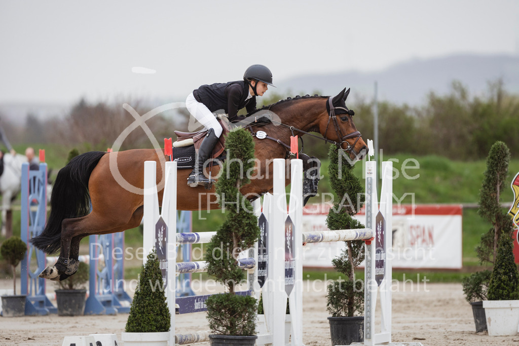 240330_Fruehlingsfest_Stil-M-953 | Deine schönsten Turniermomente als professionelle Fotos! Entdecke hochwertige Pferdesport-Fotografie im Online-Shop. Jetzt Fotos finden & bestellen!