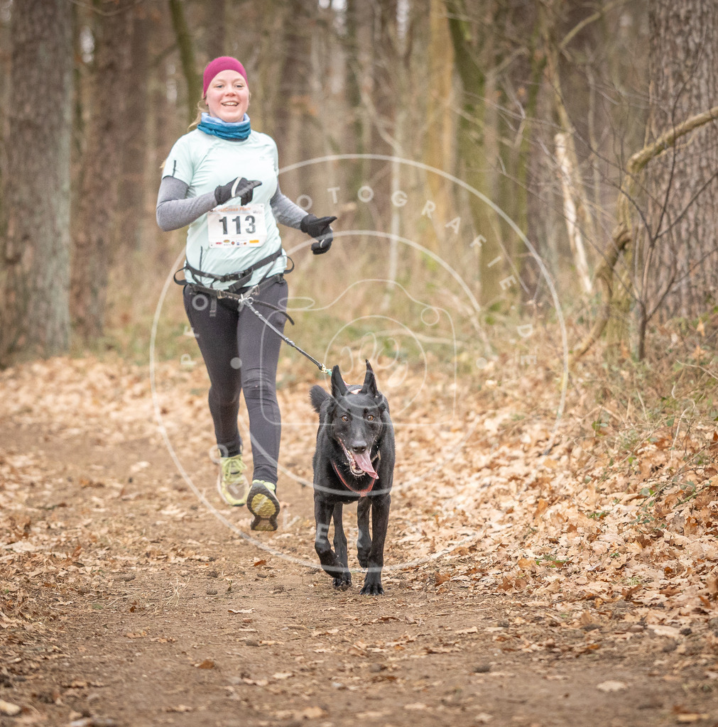 Pfotenfotografie_DV3A7722 | Hundefotografie, Tierfotograf, Pfotenfotografie, Fotoshooting Hund, Hunde Portrait, Hundesport, Hundeportraits, Heideshooting, Hunde, Sportfotograf, Hundefotograf, Turnierhundsport, THS,  - Realisiert mit Pictrs.com