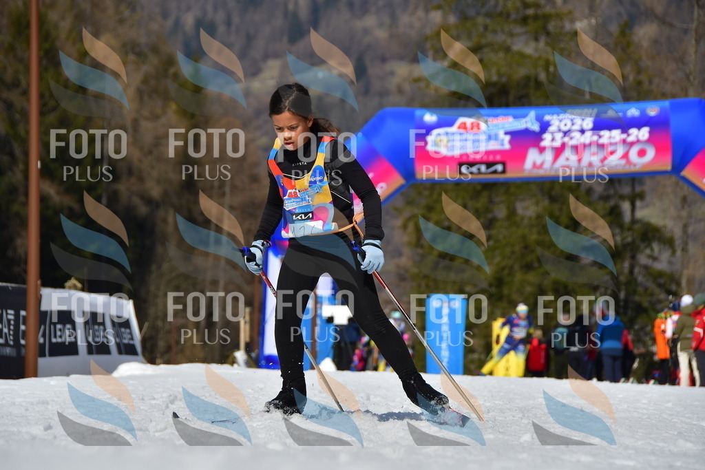 _DSC0212 | holidayphoto