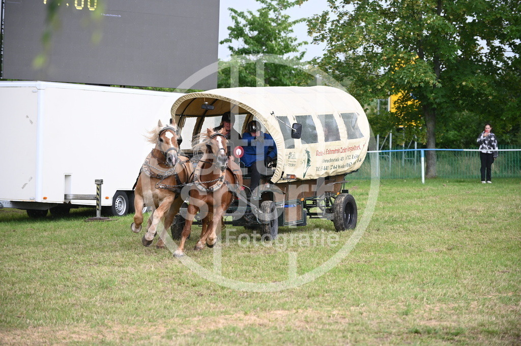 DSC_8719 | sattelsport - Realisiert mit Pictrs.com