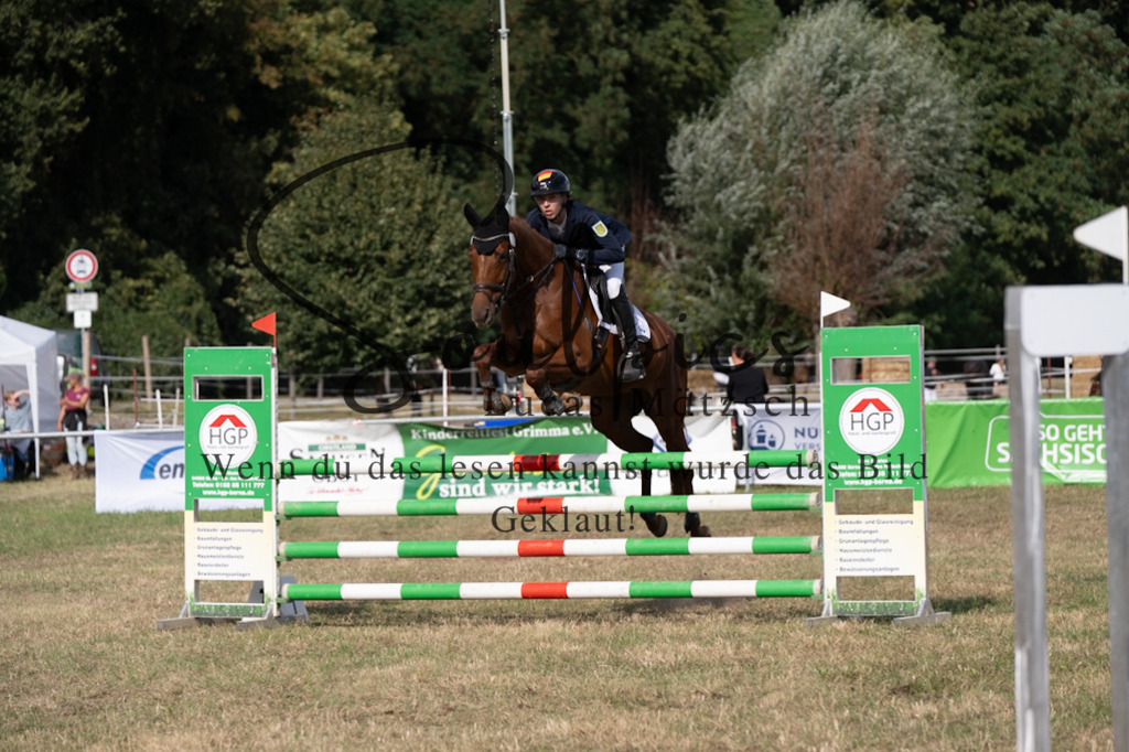 A7V09403 | Pferdefotograf