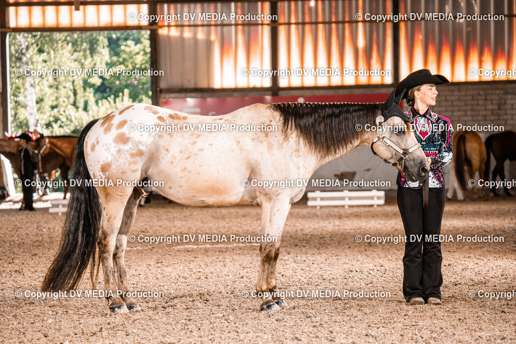 ZH100223 | dv-media-shop - Realisiert mit Pictrs.com