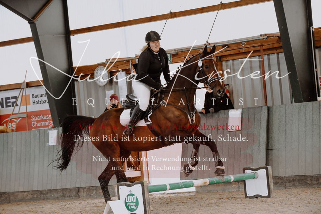 DSC_7481 | Pferde- und Turnierfotografie in Westsachsen. Pferdeportraits, Auftragszeichnungen und intuitive Kunst.