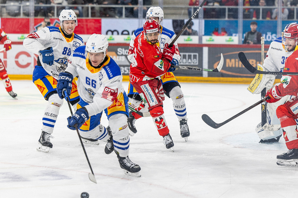 EHCB vs EVZ 20260227_WB-7651 | Sportbilder, Sportfotograf, Hochzeits- und Eventfotografin, Flugshows, Portraits und Tiershooting, Aviation, Downhill, Nationalleague, Swissleague, International
