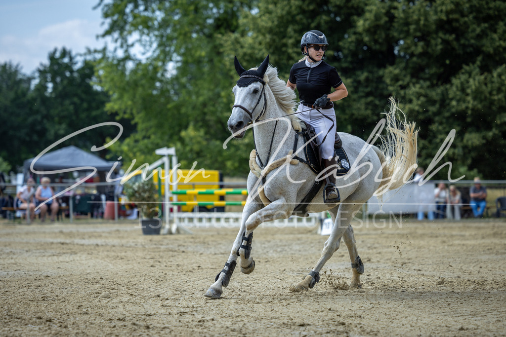 20260704-_3LI1455 | Tierfotografie Pferde, Hunde, Katzen, Haustiere.
Turnierfotografie Reitturniere, Reiten, Springreiten, Dressur in Hanau, dem Main-Kinzig-Kreis und dem Rhein-Main- Gebiet um Frankfurt