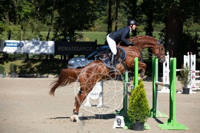 2B4A0468 | pixelfaenger - Realisiert mit Pictrs.com