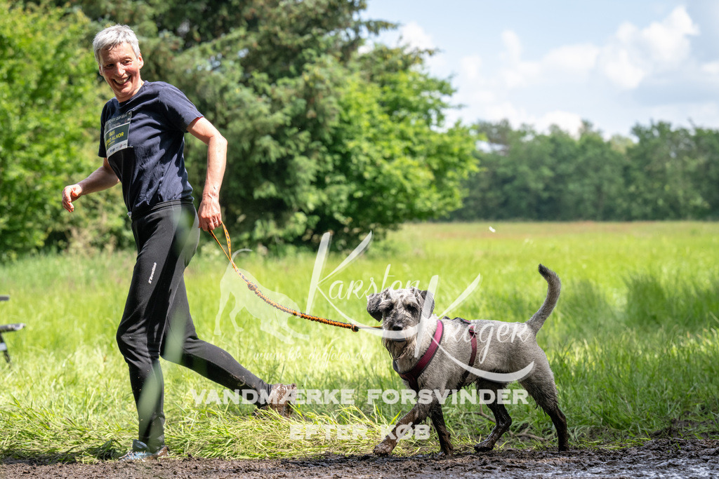 1352_ZZ92742 | kk-dogfotos