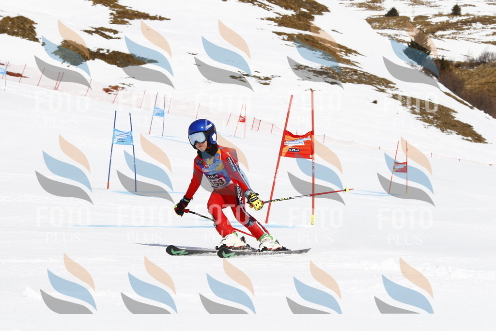 _U3G4151 | holidayphoto