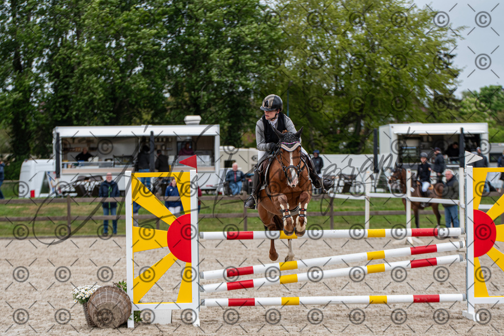 KPT_8158 | andre_photographic