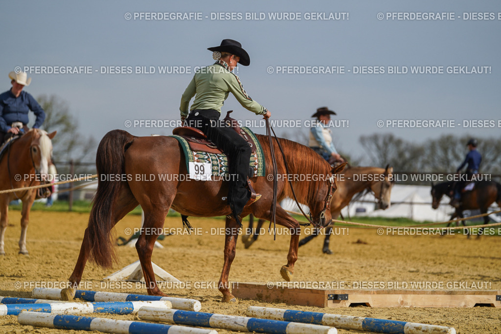 DSC01793 | Pferdegrafie