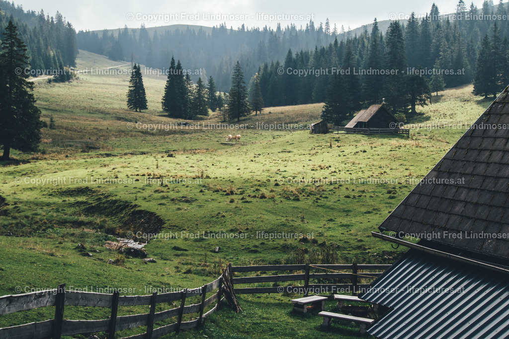 Koenigskogel duerriegel falbersbachalm-4683 | Fotos und Fotoprodukte - Realisiert mit Pictrs.com