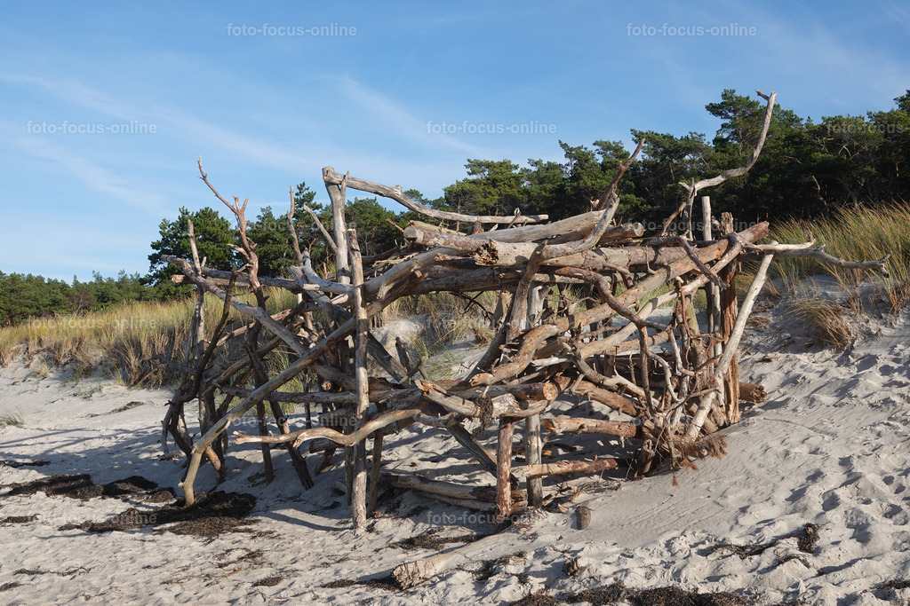 North Beach autumn, Darß | foto-focus-online