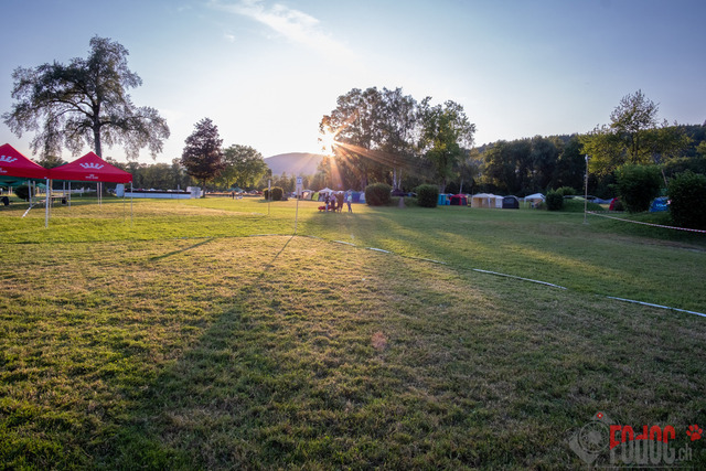 Dogshow in Aarau | CACIB/CAC Dogshow in Aarau 23.06.2023 Foto: Leo Wyden
