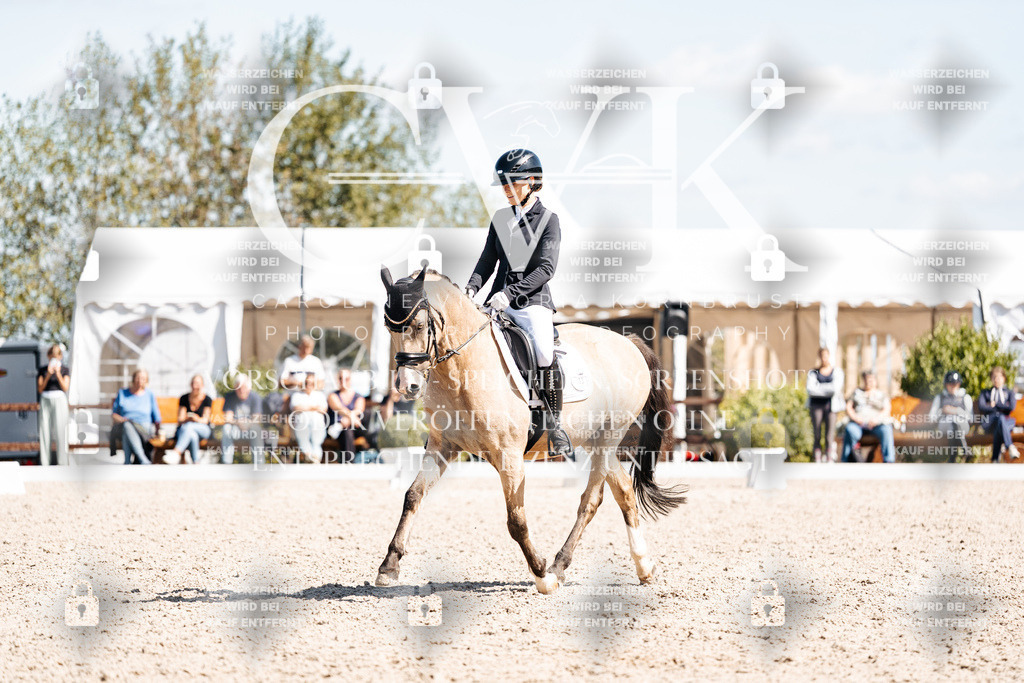 CK903800 | Turnierfotografie Pferdefotografie Trier Rheinland-Pfalz Pferdesport Reitsport Tierfotografie Sportfotografie Pferdevideo Pferdevideografie Equestrianvideography equestrianphotography  - Realisiert mit Pictrs.com