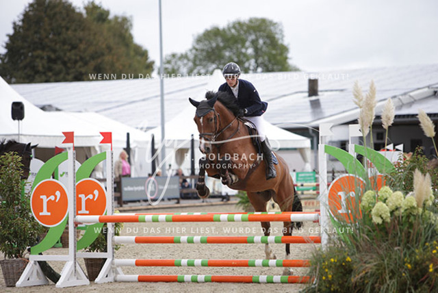 1J2A0021Edouard Hennau_ Ultimo 144_ Kn941_ Havekost | Foto- und Videografie für alles rund ums Pferd. Hochwertige Bilder und Videos vom Spring- und Dressurreiten, Voltigieren & mehr. Jetzt aktuelle Veranstaltungen und Preise im Shop ansehen. - Realisiert mit Pictrs.com