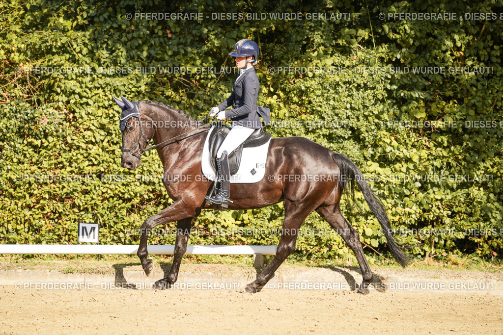 DSC06286 | Pferdegrafie