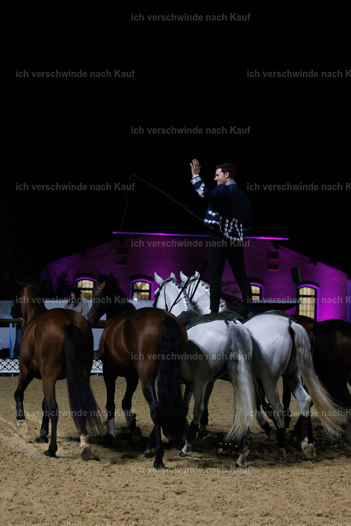 FHClassics-401 | working equitationturnier fotograf videograf stoibphotography marixx film working equitation deutschland reitsport turnierfotografie eventfotografie equestrian events