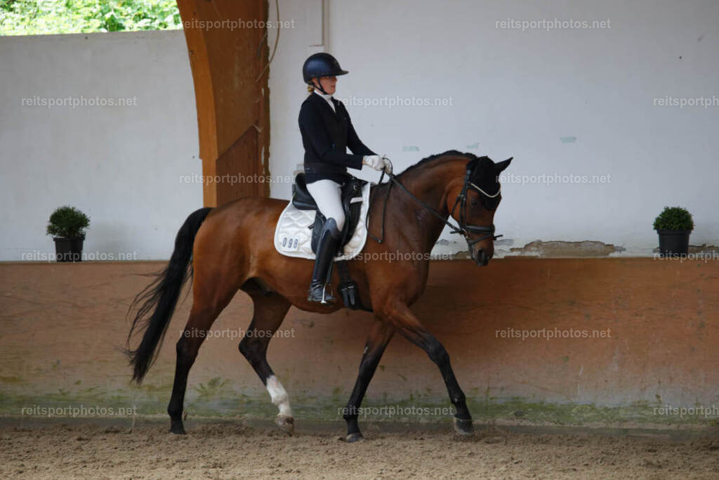 JHE_8280 | JoYa Fotografie - Realisiert mit Pictrs.com