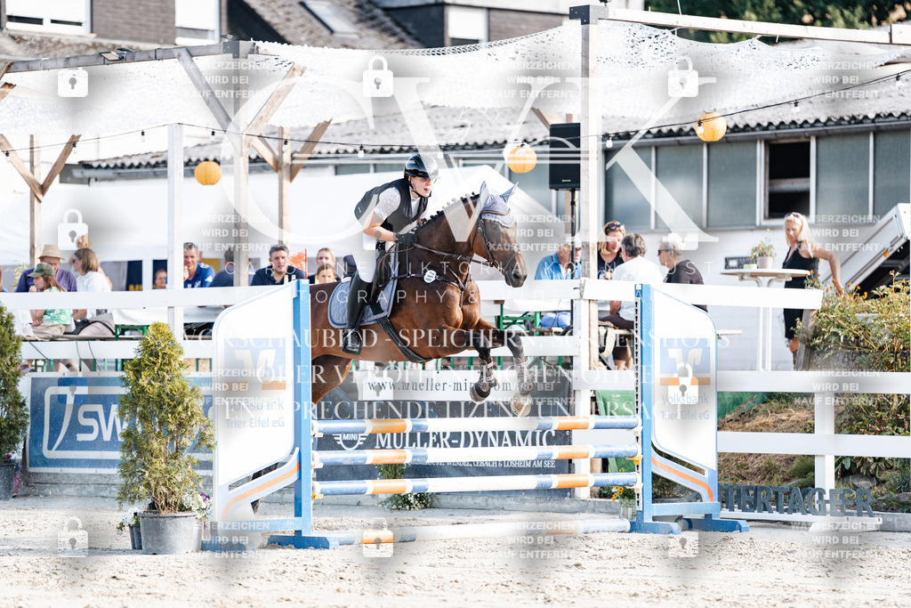 CK909432 | Turnierfotografie Pferdefotografie Trier Rheinland-Pfalz Pferdesport Reitsport Tierfotografie Sportfotografie Pferdevideo Pferdevideografie Equestrianvideography equestrianphotography  - Realisiert mit Pictrs.com