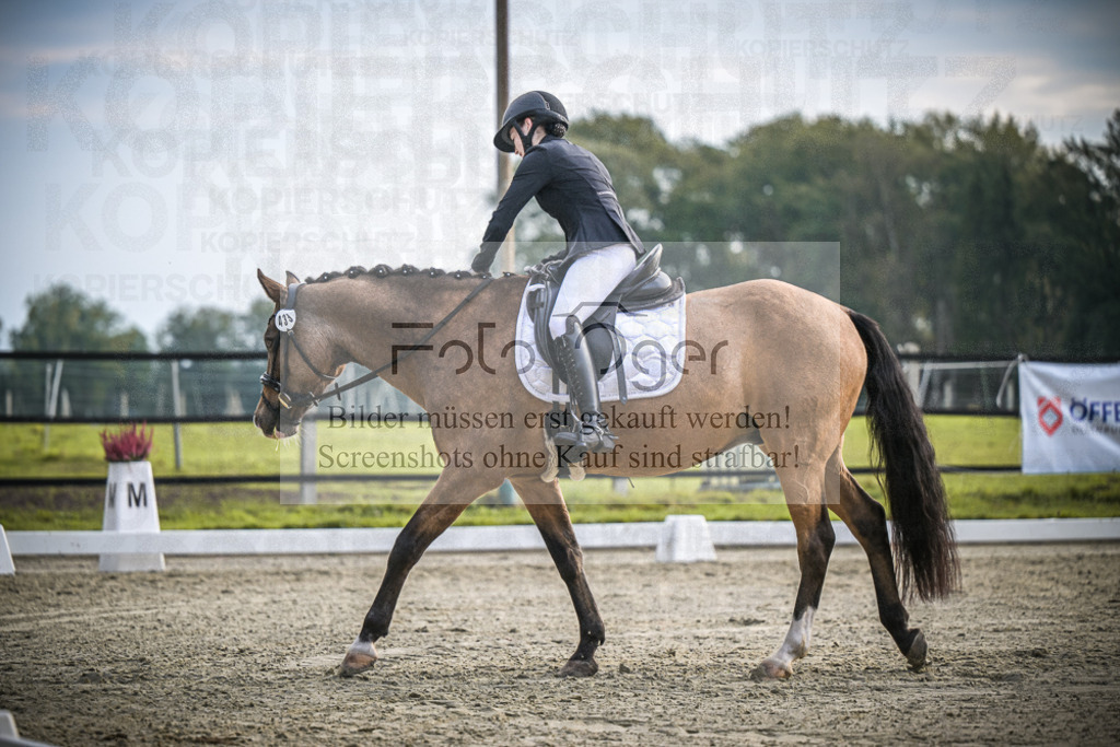 DOS_4571 | Entdecke hochwertige Reitturnierfotos von Foto Oger. Professionell, emotional und authentisch – jetzt Lieblingsmomente im Shop bestellen.Deutschlandweite Turnierfotografie. - Realisiert mit Pictrs.com