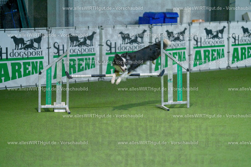 @allesWIRTHgut_Tierfotografie - www.allesWIRTHgut.de - 2604250939-7R508660 | Professionelle Tierfotografie in Mönchengladbach von Daniel Wirth (allesWIRTHgut). Liebevolle & natürliche Bilder von Hunden & Katzen für unvergessliche Erinnerungen.
