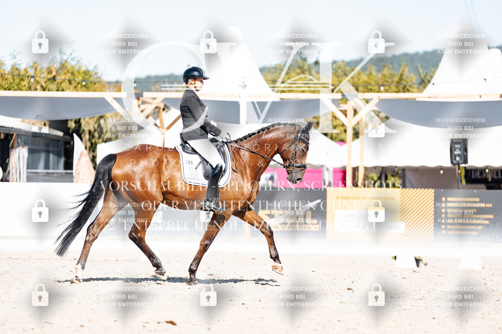 CK908225 | Turnierfotografie Pferdefotografie Trier Rheinland-Pfalz Pferdesport Reitsport Tierfotografie Sportfotografie Pferdevideo Pferdevideografie Equestrianvideography equestrianphotography  - Realisiert mit Pictrs.com