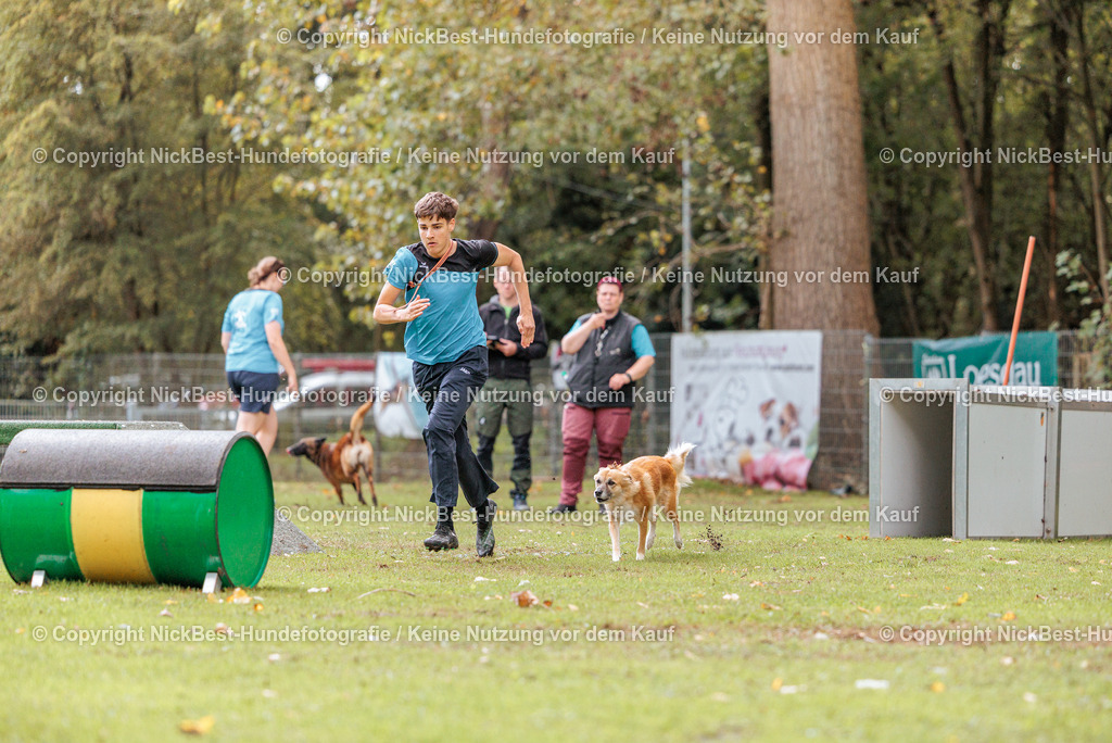 THS-HSV-Blumenthal-2026-Nickbest-Hundefotografie-3982 | Dein Hund! Dein Moment! Deine Erinnerungen! Hundefotografie in Bremen Blumenthal. Ich fange die besonderen Momente deines Vierbeiners ein – ob Indoor mit Blitzanlage oder in der freien Natur. Sicher dir dein Moment und dein Termin für eure Erinnerungen.