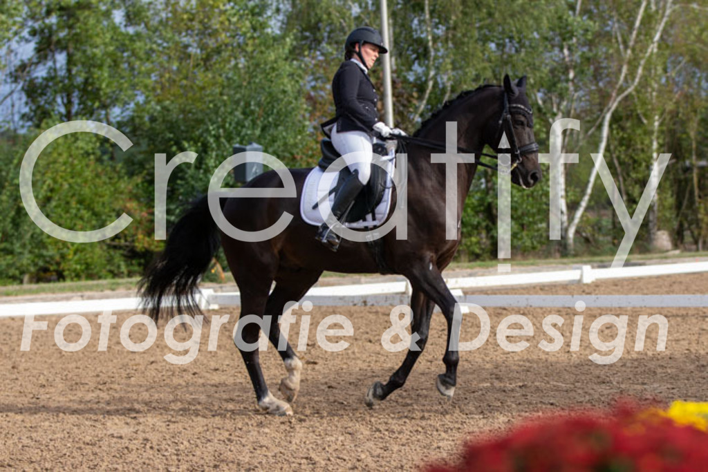 IMG_6023 | Creatify Fotografie