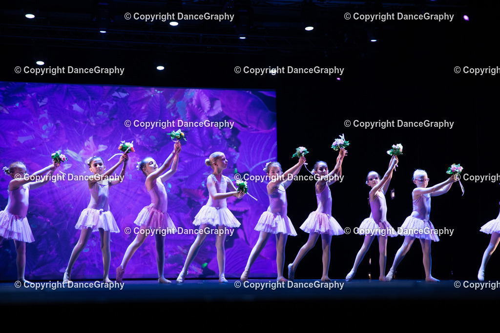 GPHY4865 | DanceGraphy - Realisiert mit Pictrs.com