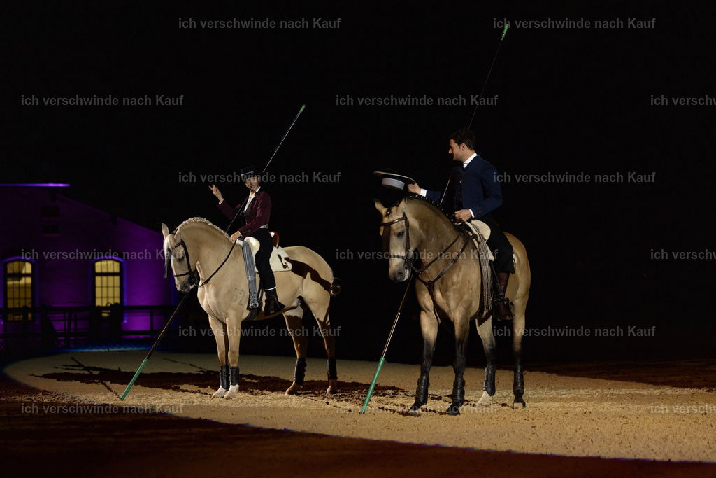 FHClassics-187 | working equitationturnier fotograf videograf stoibphotography marixx film working equitation deutschland reitsport turnierfotografie eventfotografie equestrian events