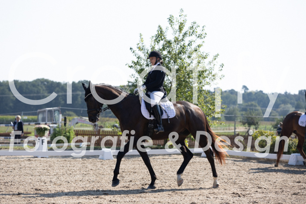 IMG_3376 | Creatify Fotografie