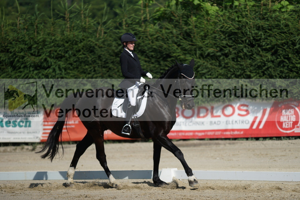 DSC04509 | equestrian-live-com