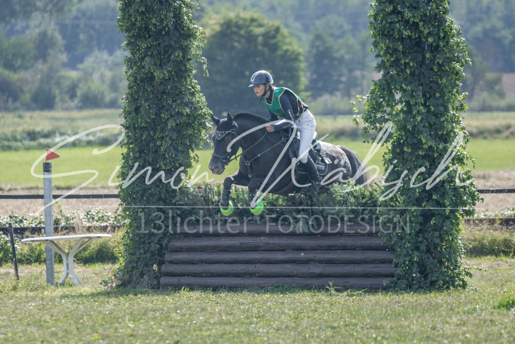 20250907-_3LR7924 | Tierfotografie Pferde, Hunde, Katzen, Haustiere.
Turnierfotografie Reitturniere, Reiten, Springreiten, Dressur in Hanau, dem Main-Kinzig-Kreis und dem Rhein-Main- Gebiet um Frankfurt