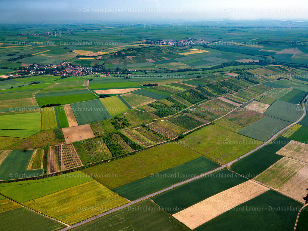 2821818 | Weinberge am Wartberg bei Albisheim
