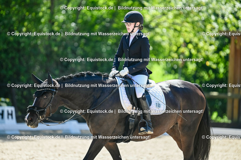 20230908_06_Dressur-L-Trense_0594 | equistock